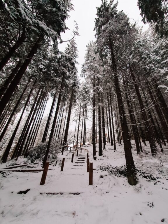 szlak na Gęsią szyje