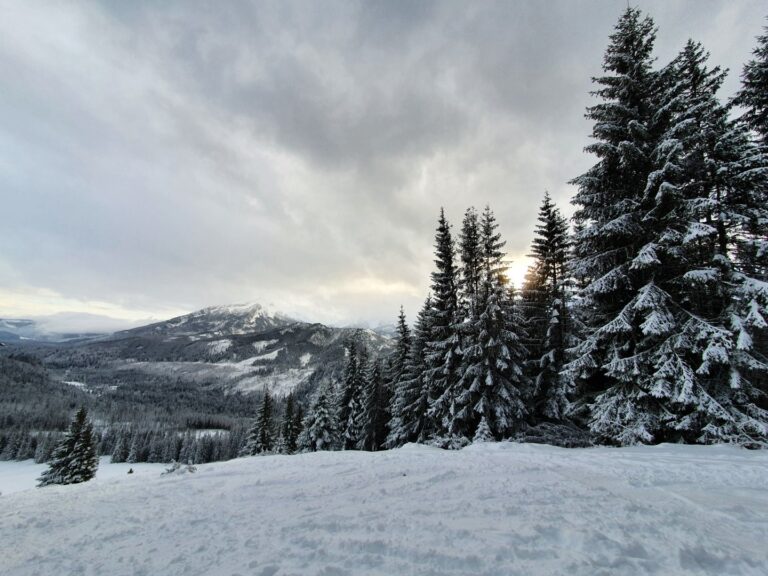 szlak na Gęsią szyje