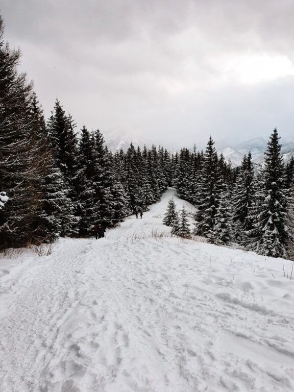 szlak na Gęsią szyje